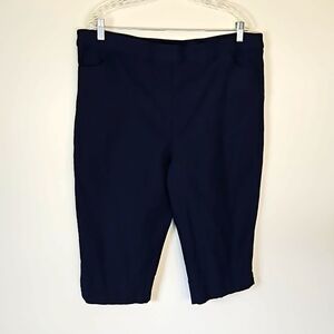 Alfred Dunner Women's Comfort Pull On Pants w/pockets Size 18P petite EUC